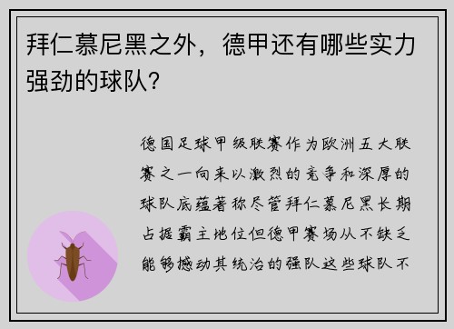 拜仁慕尼黑之外，德甲还有哪些实力强劲的球队？