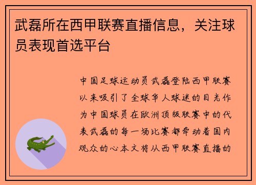 武磊所在西甲联赛直播信息，关注球员表现首选平台